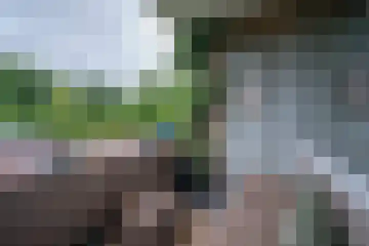 Helperzoom 129 Groningen thumbnail 22