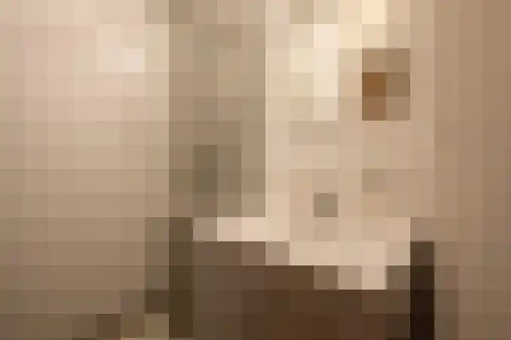 Helperzoom 129 Groningen thumbnail 31