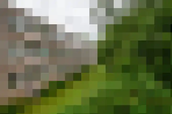 Helperzoom 129 Groningen thumbnail 32