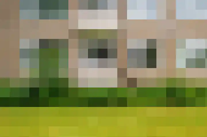 Helperzoom 129 Groningen thumbnail 33