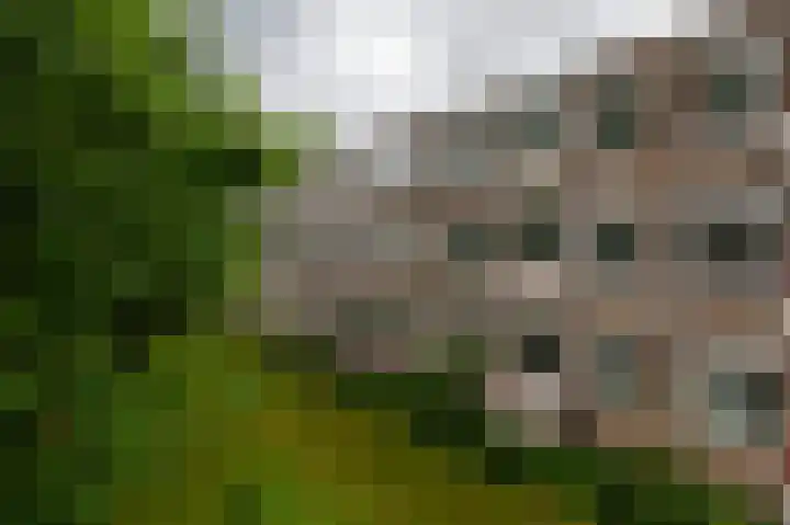 Helperzoom 129 Groningen thumbnail 34