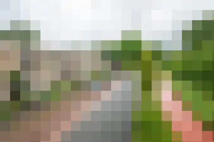 Helperzoom 129 Groningen thumbnail 5