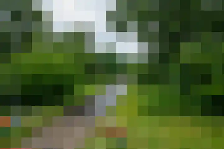 Helperzoom 129 Groningen thumbnail 7
