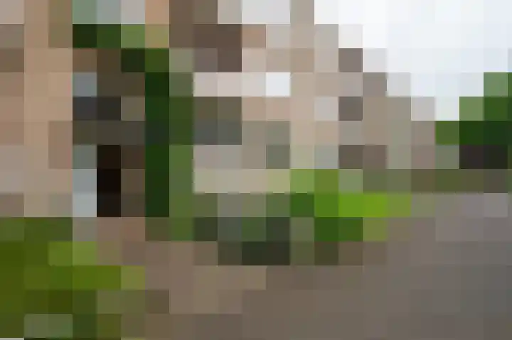 Helperzoom 129 Groningen thumbnail 8