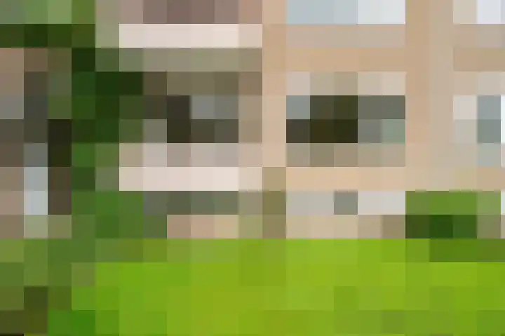 Helperzoom 129 Groningen thumbnail 9
