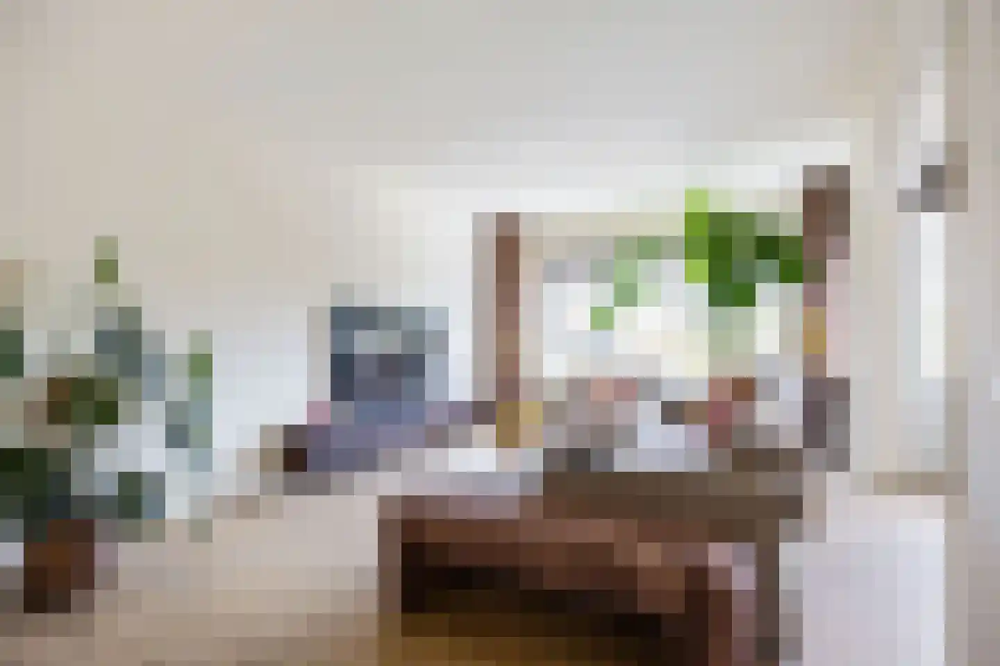 Helperzoom 137 en Groningen