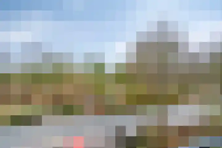 Helperzoom 147 Groningen thumbnail 19
