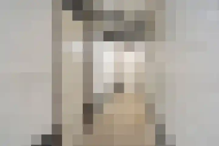 Helperzoom 147 Groningen thumbnail 27