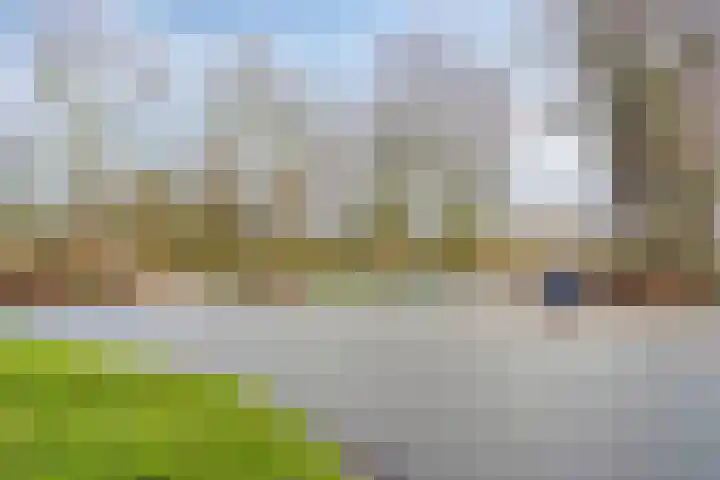 Helperzoom 147 Groningen thumbnail 32