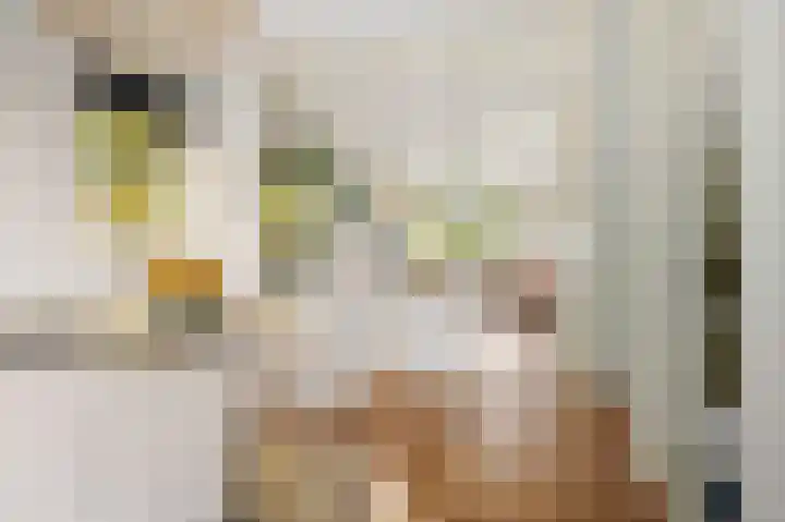 Helperzoom 155 Groningen thumbnail 10