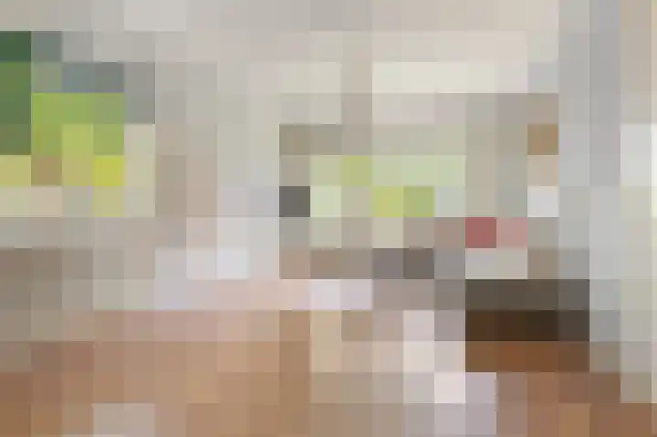 Helperzoom 155 Groningen thumbnail 12