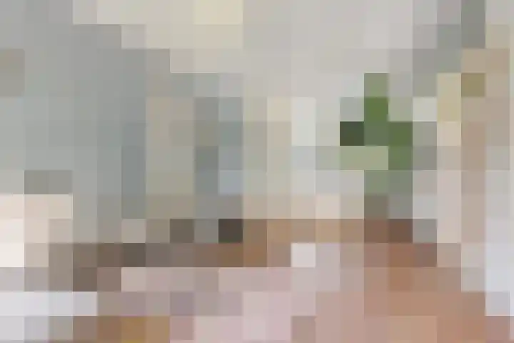 Helperzoom 155 Groningen thumbnail 13