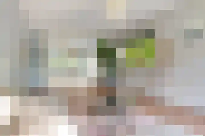 Helperzoom 155 Groningen thumbnail 14