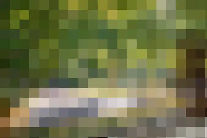 Helperzoom 155 Groningen thumbnail 15