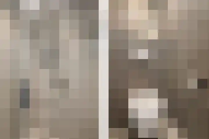 Helperzoom 155 Groningen thumbnail 17