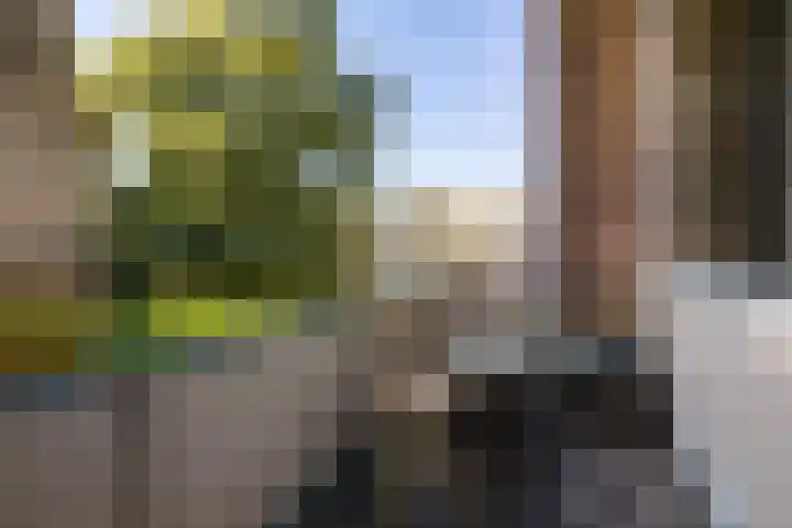 Helperzoom 155 Groningen thumbnail 20