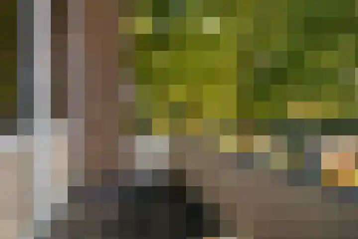 Helperzoom 155 Groningen thumbnail 21