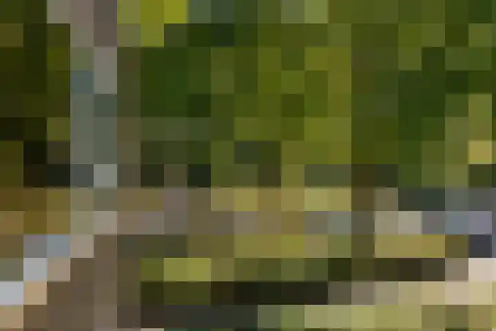 Helperzoom 155 Groningen thumbnail 22