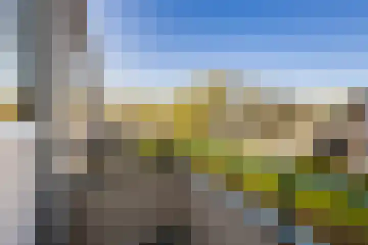 Helperzoom 155 Groningen thumbnail 24