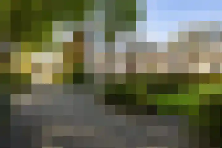 Helperzoom 155 Groningen thumbnail 25