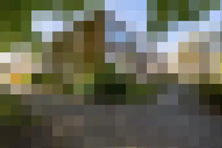 Helperzoom 155 Groningen thumbnail 26
