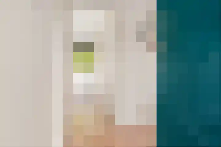 Helperzoom 155 Groningen thumbnail 4