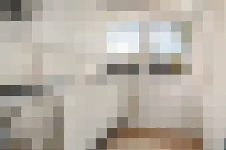 Helperzoom 155 Groningen thumbnail 6