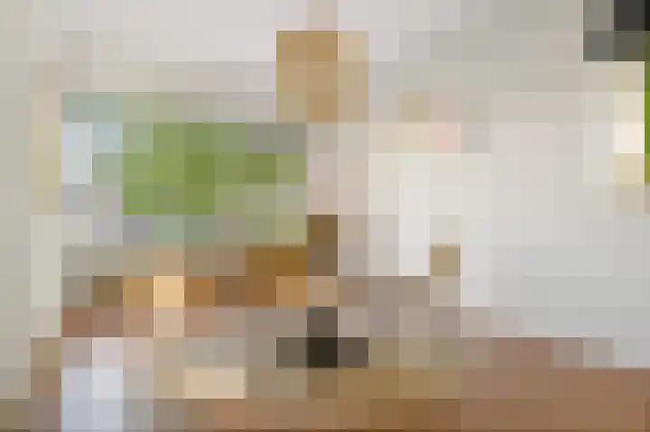 Helperzoom 155 Groningen thumbnail 8