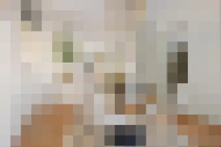 Helperzoom 155 Groningen thumbnail 9