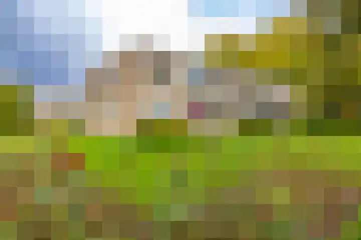 Helperzoom 165 en Groningen