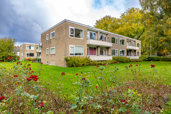 Helperzoom 165 en Groningen foto