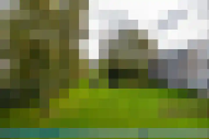 Helperzoom 165 Groningen thumbnail 23