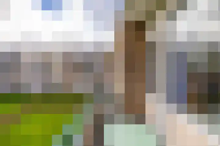 Helperzoom 165 Groningen thumbnail 24
