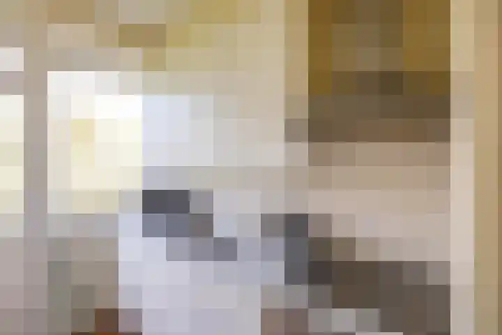 Helperzoom 165 Groningen thumbnail 25