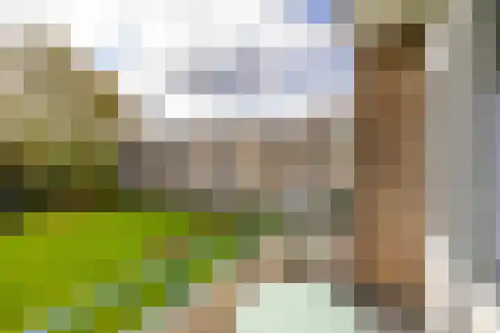 Helperzoom 165 Groningen thumbnail 27