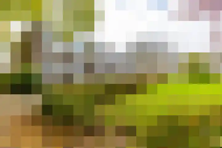 Helperzoom 165 Groningen thumbnail 5
