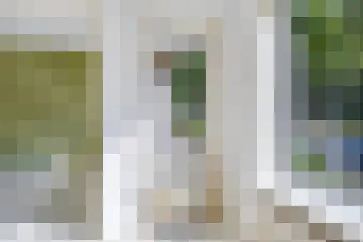 Helperzoom 173 Groningen thumbnail 12