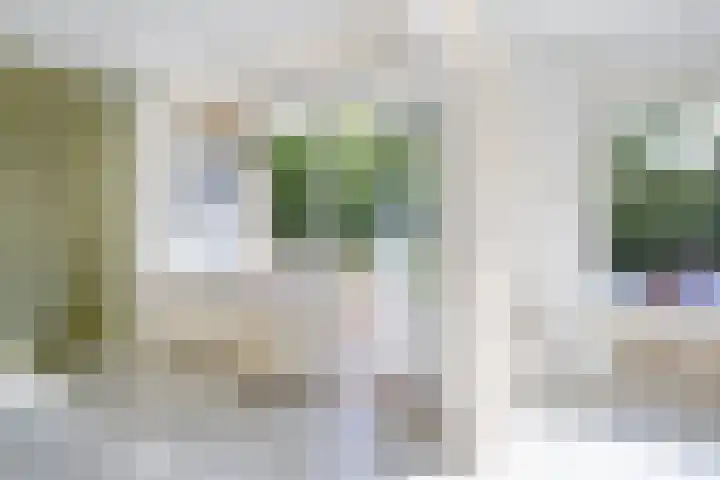 Helperzoom 173 Groningen thumbnail 15