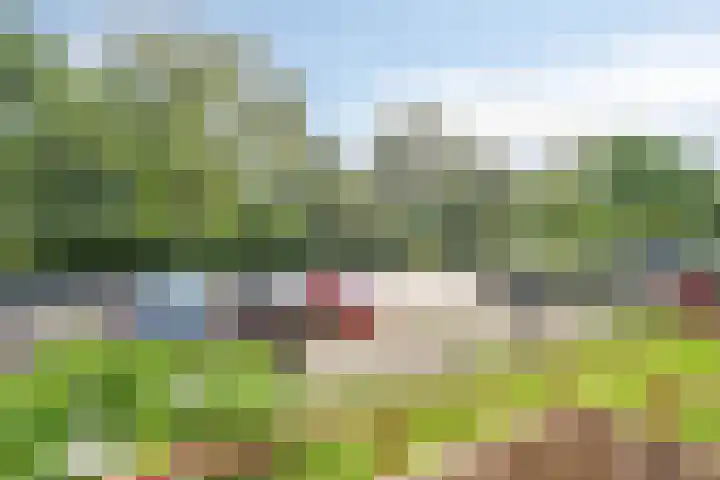 Helperzoom 173 Groningen thumbnail 18
