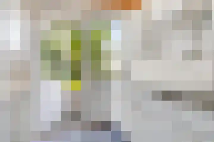 Helperzoom 173 Groningen thumbnail 20