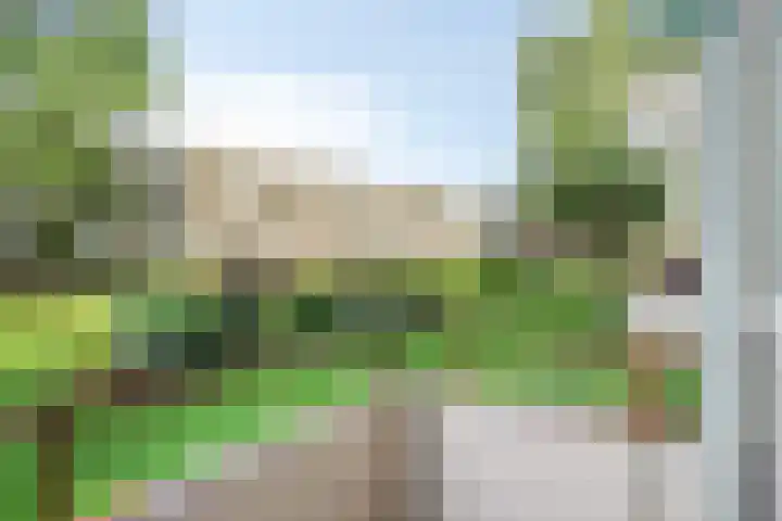 Helperzoom 173 Groningen thumbnail 21