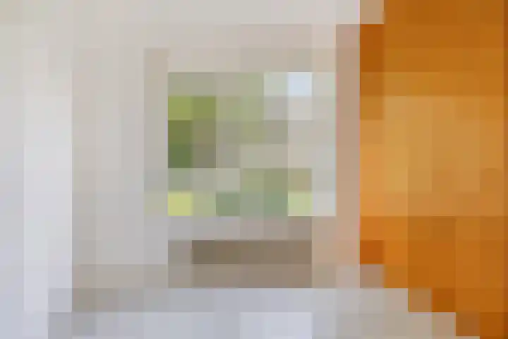 Helperzoom 173 Groningen thumbnail 26