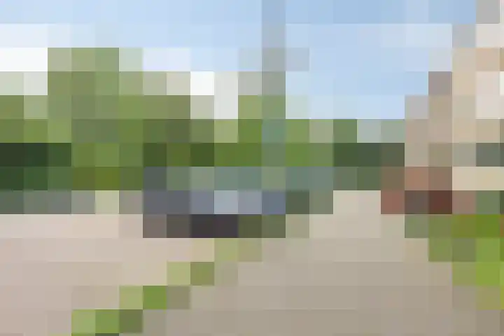 Helperzoom 173 Groningen thumbnail 30