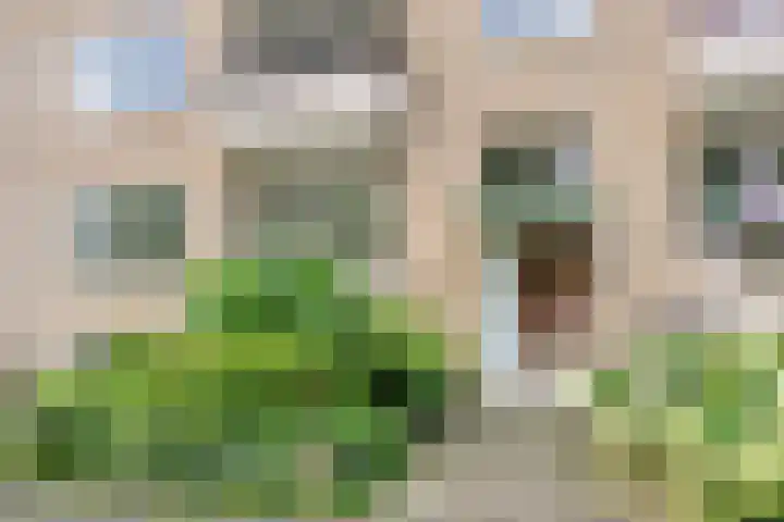 Helperzoom 173 Groningen thumbnail 31