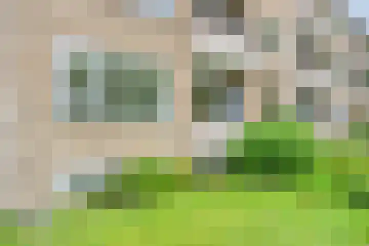 Helperzoom 173 Groningen thumbnail 34