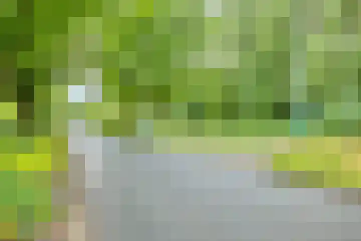 Helperzoom 173 Groningen thumbnail 35