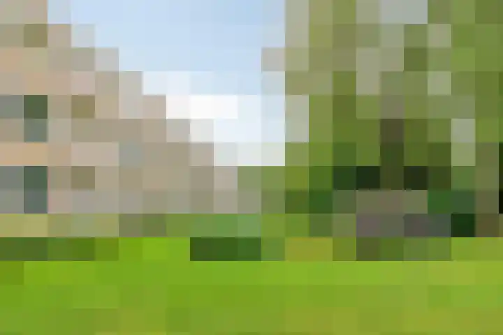 Helperzoom 173 Groningen thumbnail 36