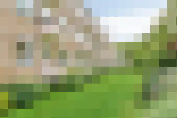 Helperzoom 173 Groningen thumbnail 37