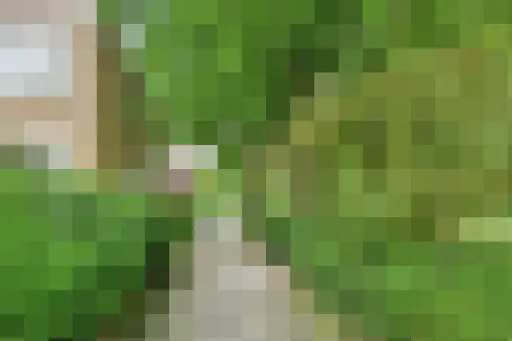 Helperzoom 173 Groningen thumbnail 38