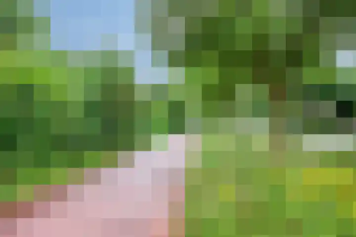Helperzoom 173 Groningen thumbnail 39